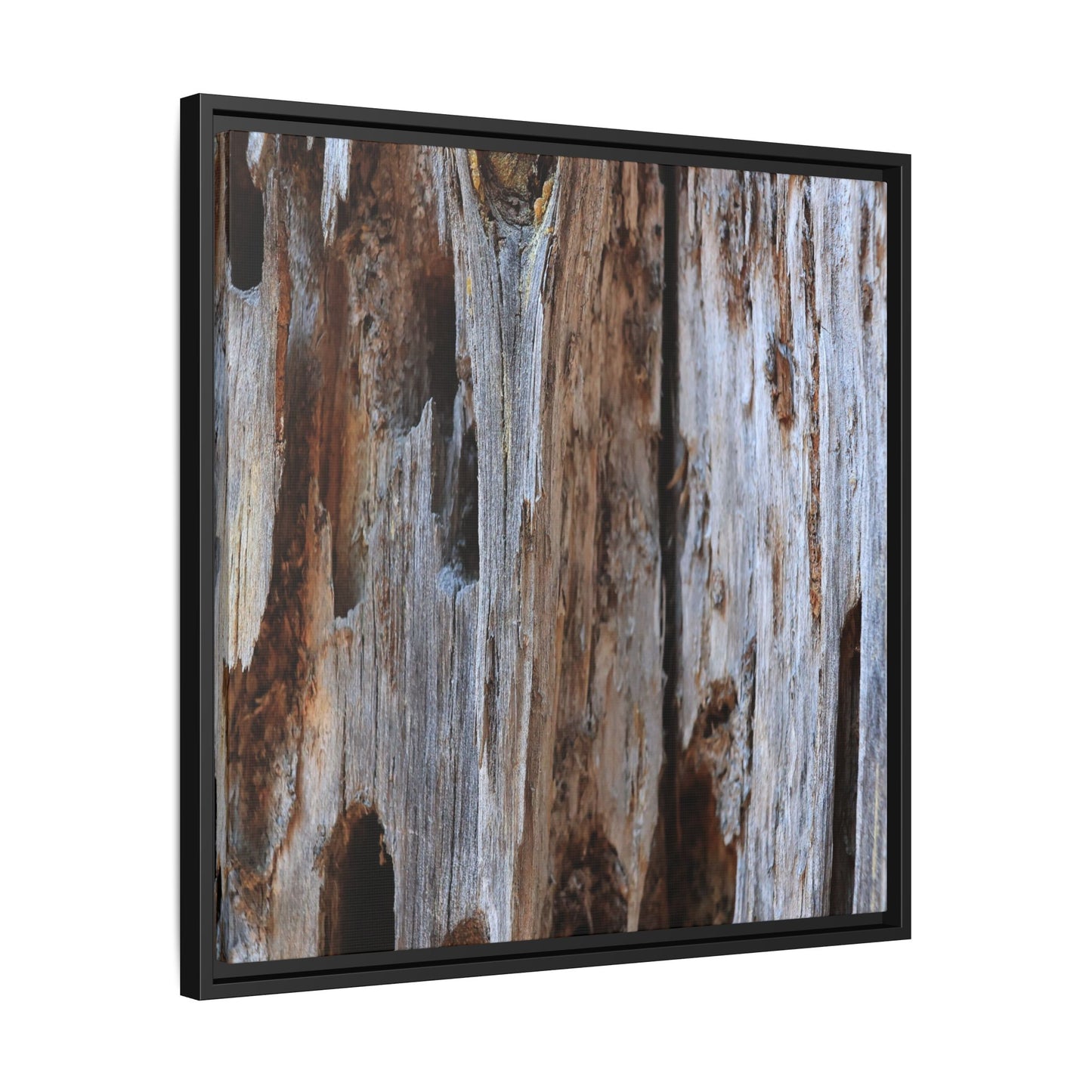 Decaying Splendor - Unique Stretched Canvas Wall Art - Art By Earth