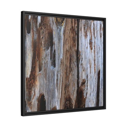 Decaying Splendor - Unique Stretched Canvas Wall Art - Art By Earth