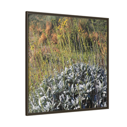 Arid Landscape with Yellow Flowers - Unique Stretched Canvas Wall Art - Art By Earth