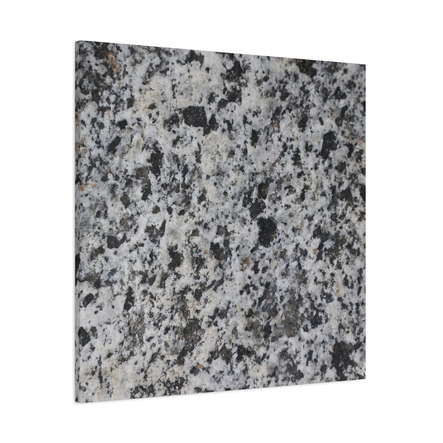 Grainy Whispers - Unique Frameless Canvas Wall Art - Art By Earth