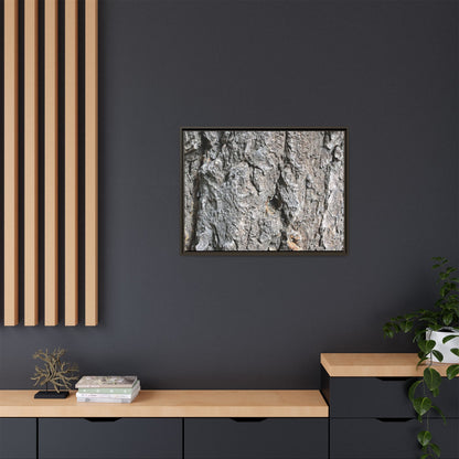 Crusty Exterior - Unique Stretched Canvas Wall Art - Art By Earth
