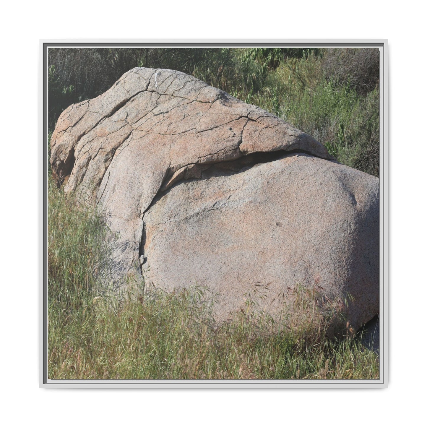 Stone Head Emerging from Earth - Unique Stretched Canvas Wall Art - Art By Earth