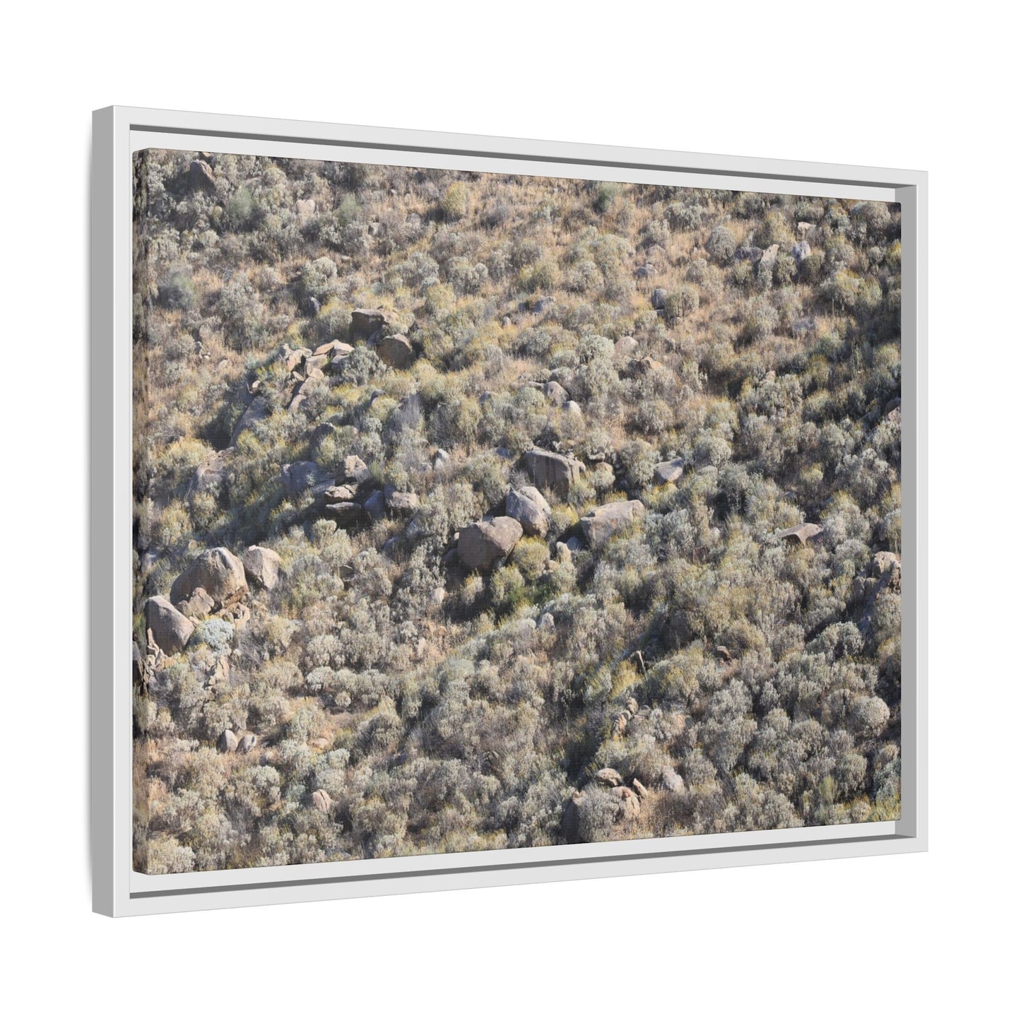 Arid Terrain Study - Unique Stretched Canvas Wall Art - Art By Earth