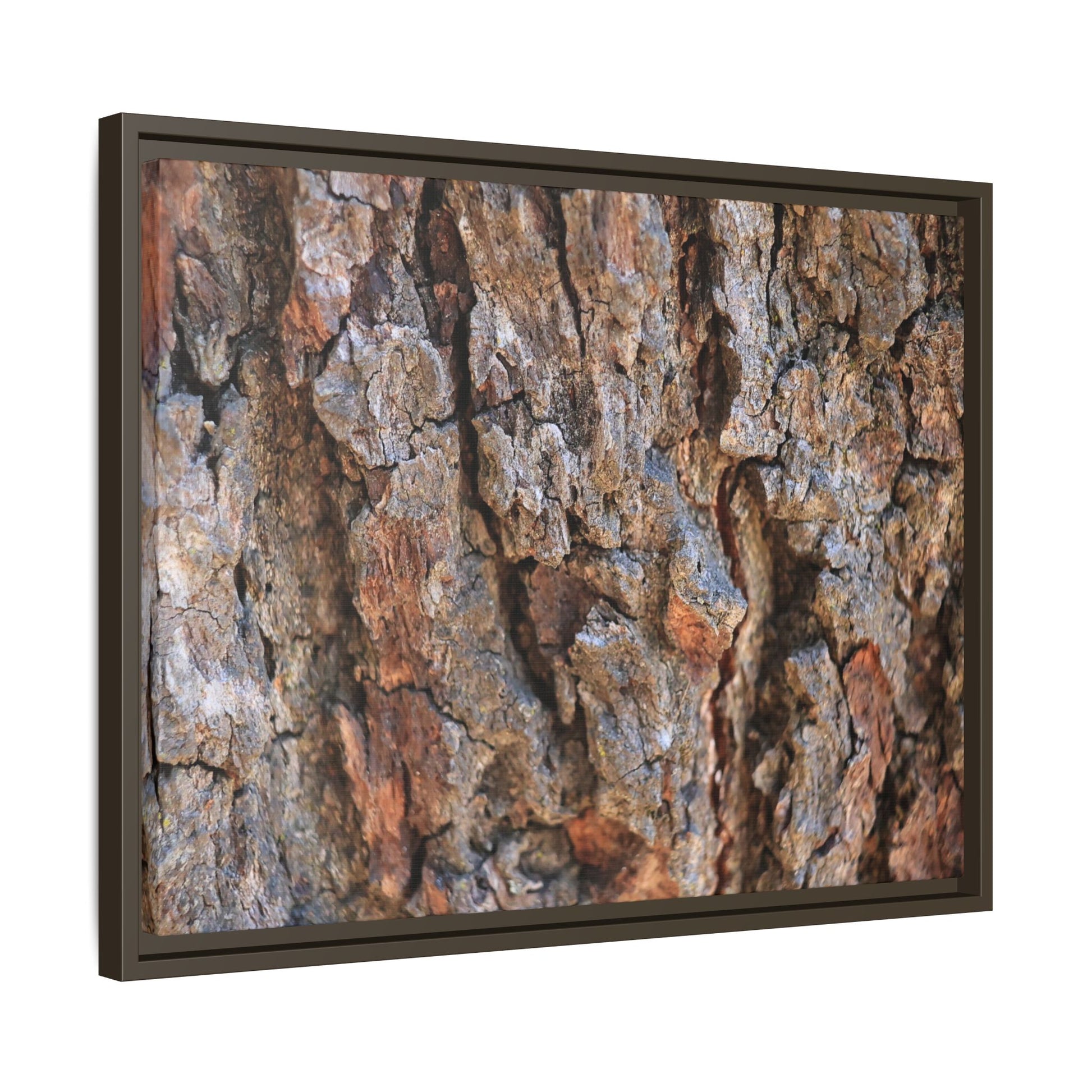Craggy Textures - Unique Stretched Canvas Wall Art - Art By Earth