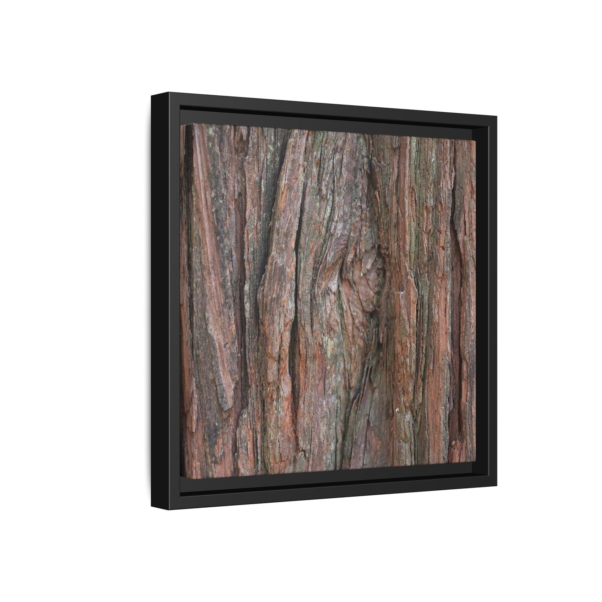Rugged Textures - Unique Stretched Canvas Wall Art - Art By Earth