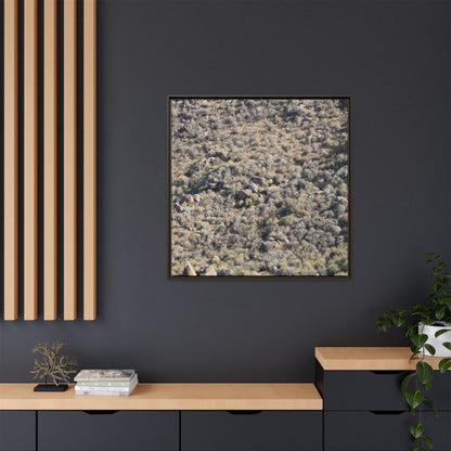 Arid Terrain Study - Unique Stretched Canvas Wall Art - Art By Earth