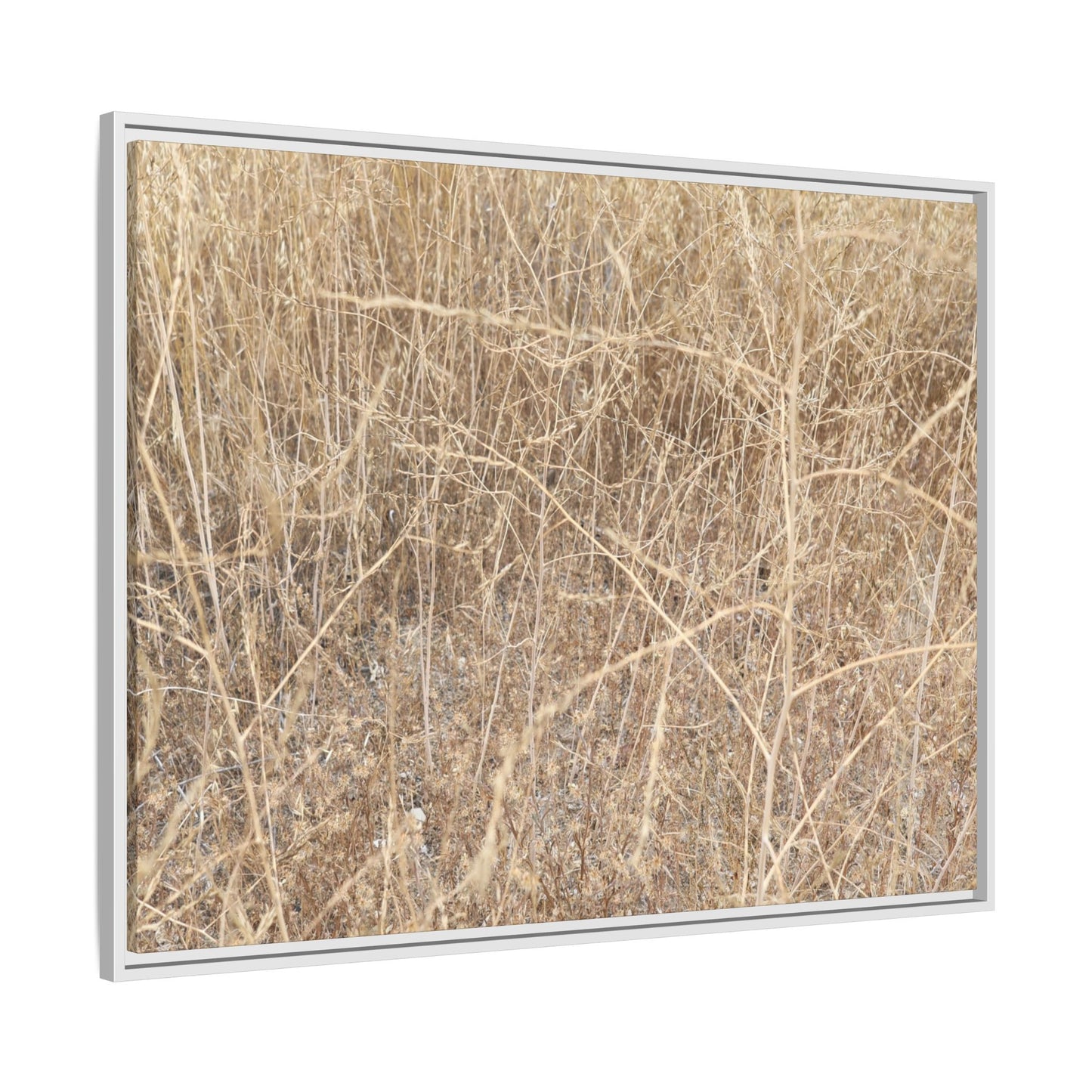 Golden Stalks - Unique Stretched Canvas Wall Art - Art By Earth