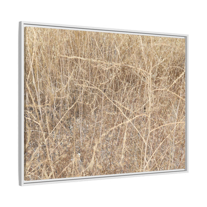 Golden Stalks - Unique Stretched Canvas Wall Art - Art By Earth