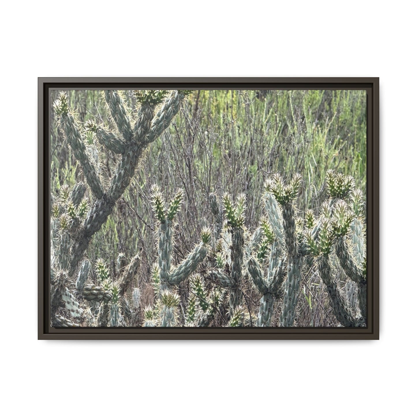 Prickly Paradise - Unique Stretched Canvas Wall Art - Art By Earth