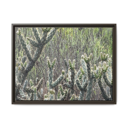 Prickly Paradise - Unique Stretched Canvas Wall Art - Art By Earth