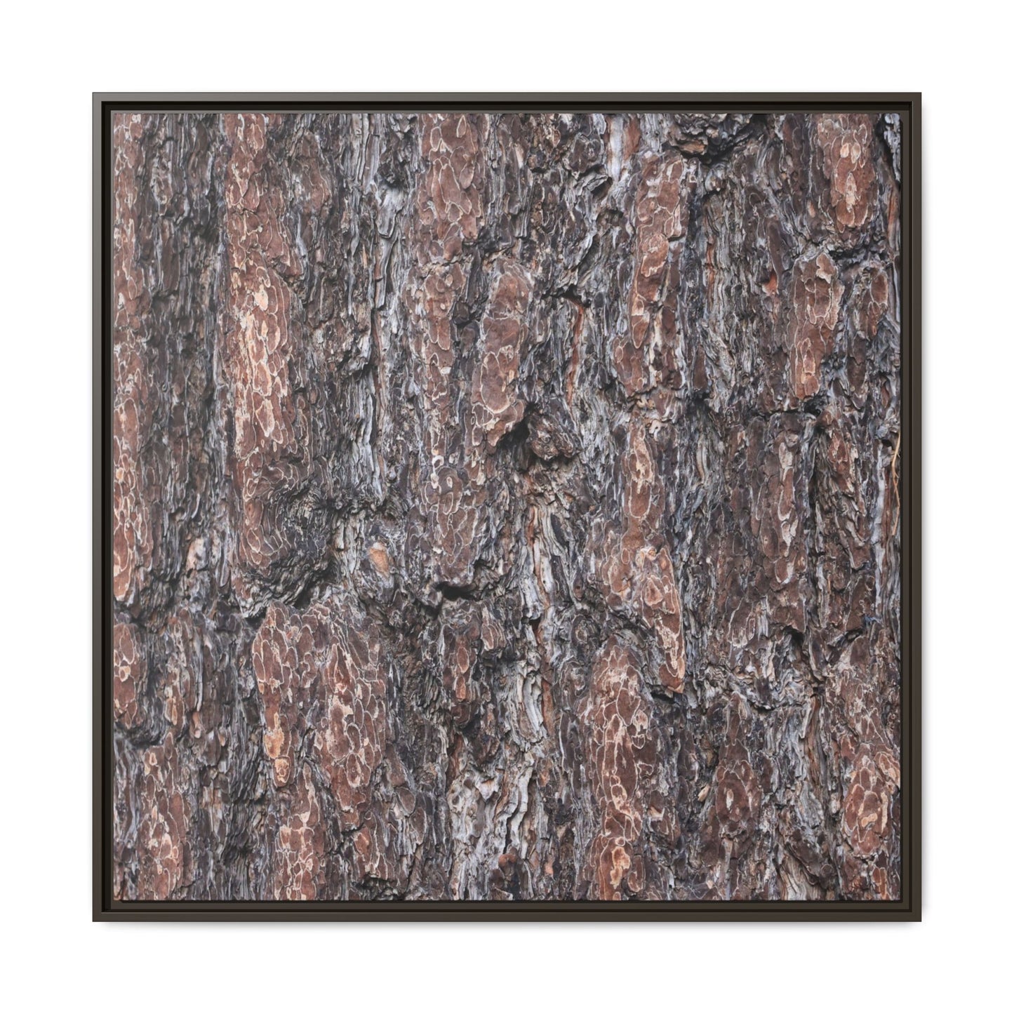 Echoes of Wood - Unique Stretched Canvas Wall Art