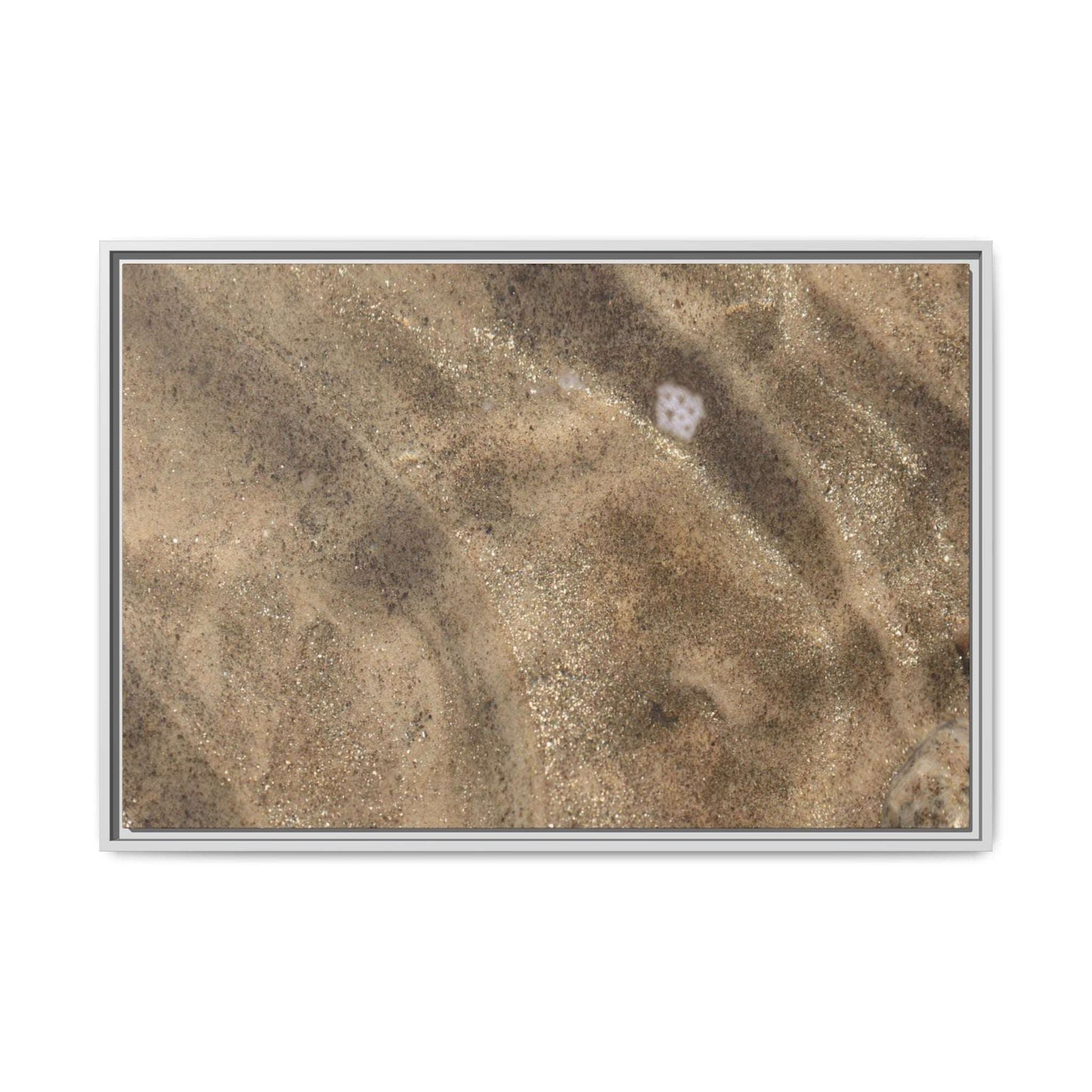 Underwater Sand Exploration - Unique Stretched Canvas Wall Art - Art By Earth