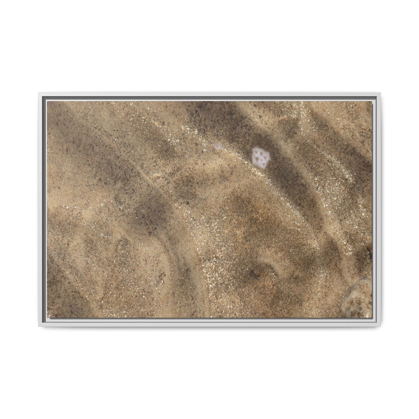 Underwater Sand Exploration - Unique Stretched Canvas Wall Art - Art By Earth