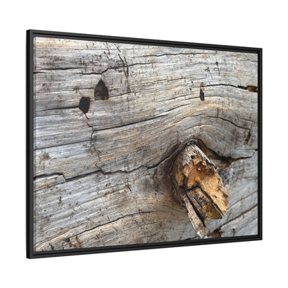 Weathered Wood Texture - Unique Stretched Canvas Wall Art - Art By Earth