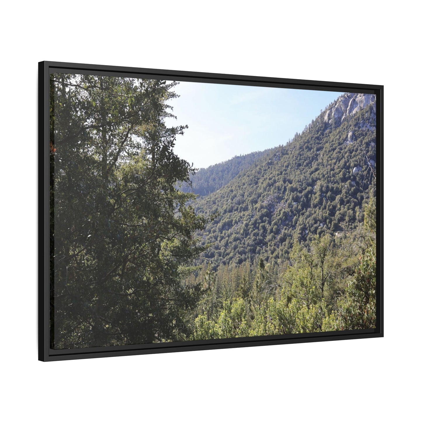 Mountain Valley Forest - Unique Stretched Canvas Wall Art