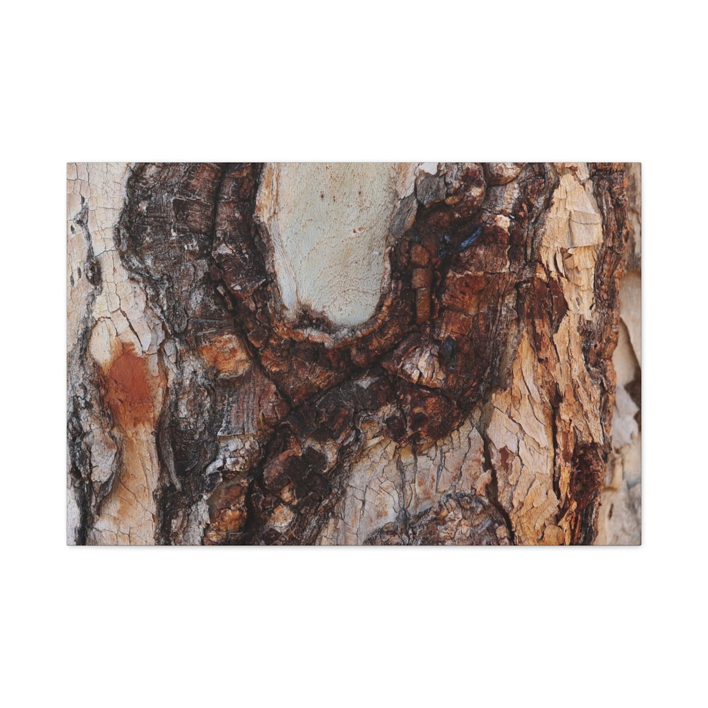 Arboreal Echoes - Unique Frameless Canvas Wall Art - Art By Earth