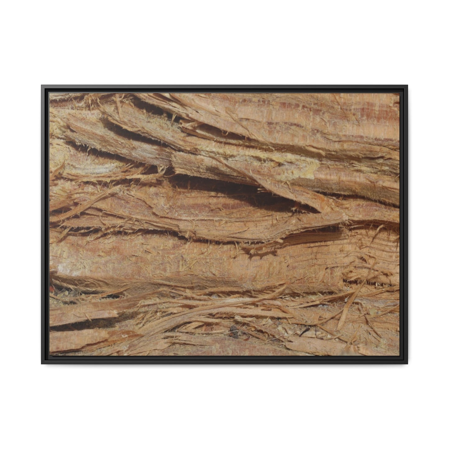 Splintered Bark - Unique Stretched Canvas Wall Art - Art By Earth