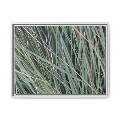 Grassland Symphony - Unique Stretched Canvas Wall Art - Art By Earth