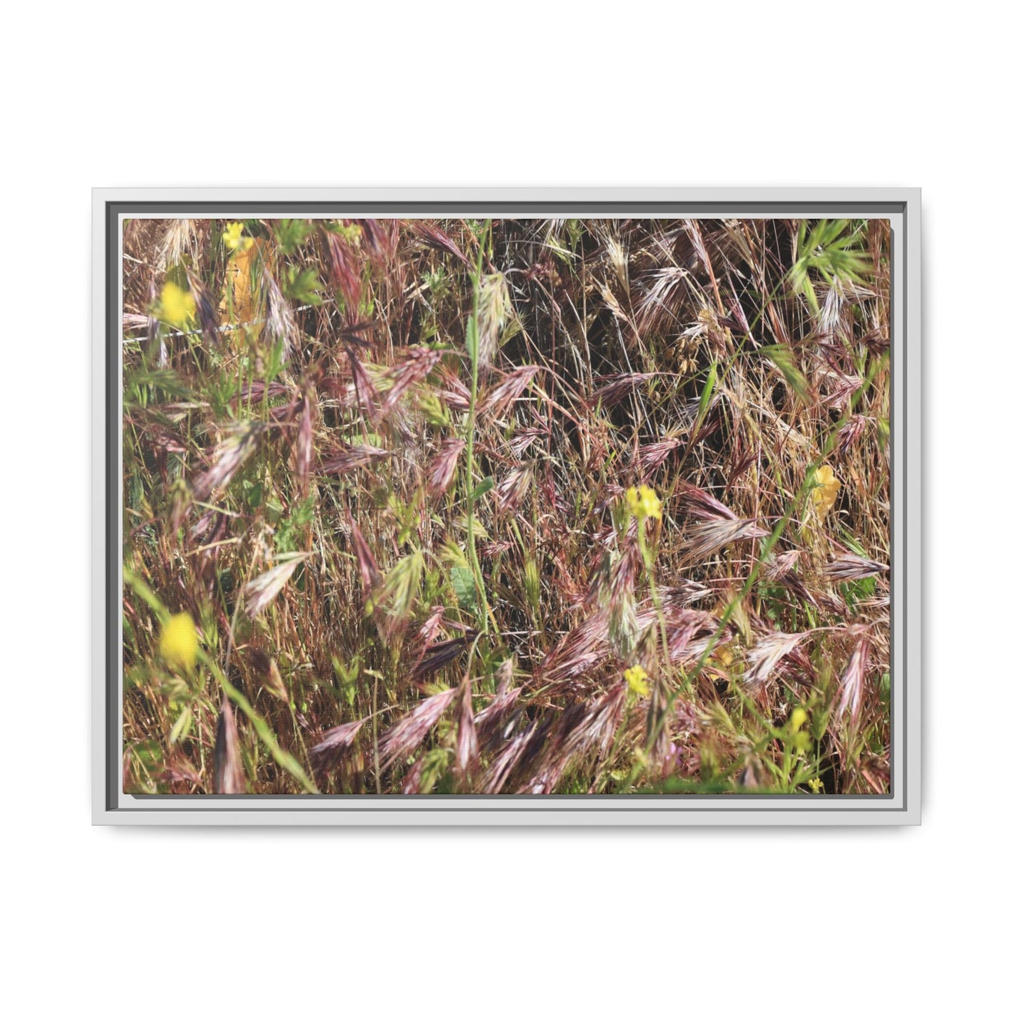 Autumn Meadow - Unique Stretched Canvas Wall Art - Art By Earth