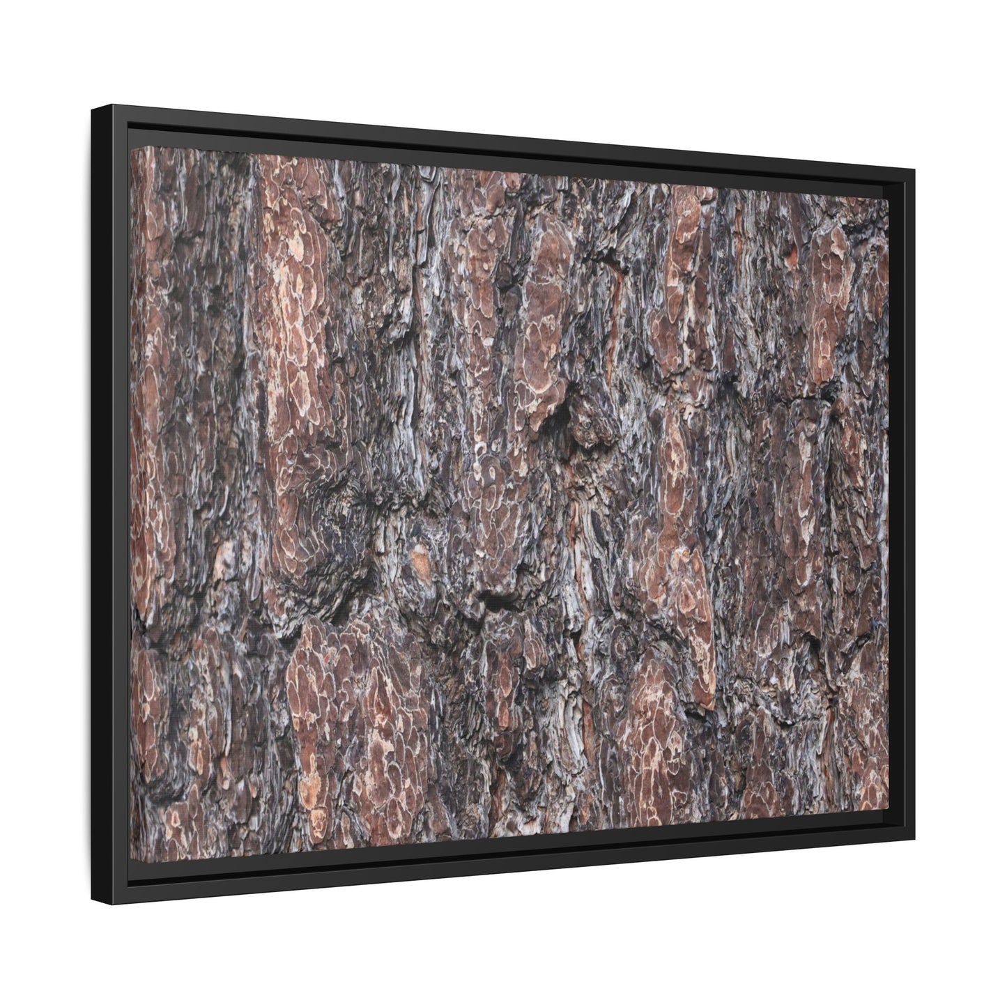 Echoes of Wood - Unique Stretched Canvas Wall Art