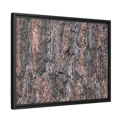 Echoes of Wood - Unique Stretched Canvas Wall Art
