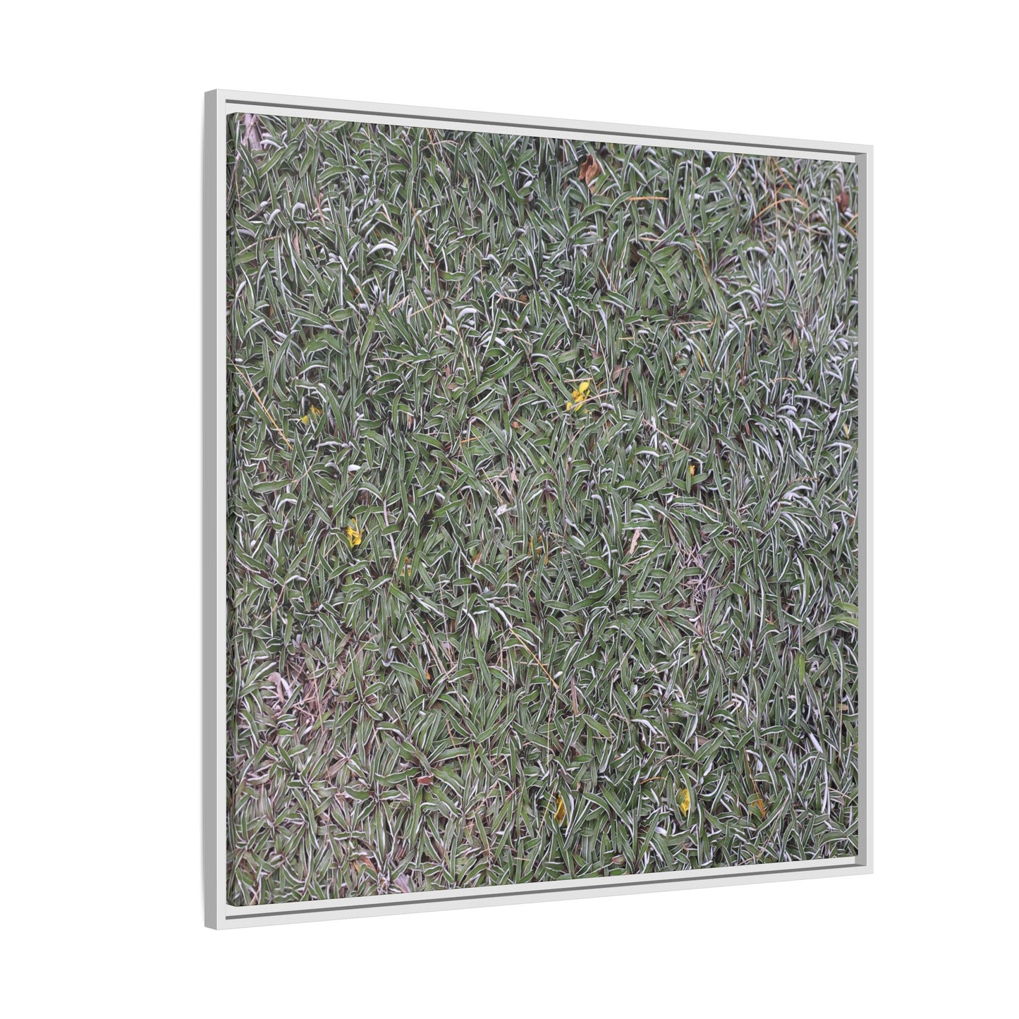 Grassy Texture - Unique Stretched Canvas Wall Art - Art By Earth