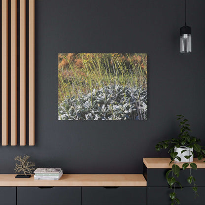 Desert Wildflowers in Bloom - Unique Frameless Canvas Wall Art - Art By Earth