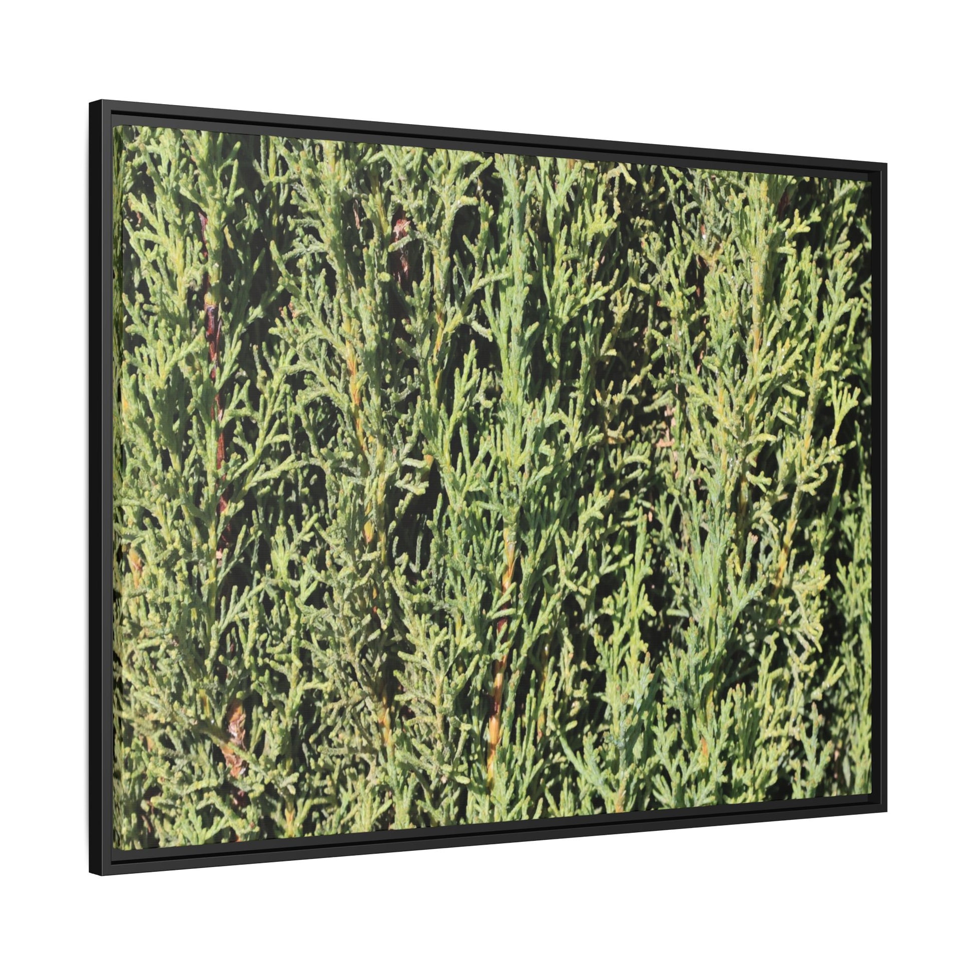 Emerald Labyrinth - Unique Stretched Canvas Wall Art - Art By Earth