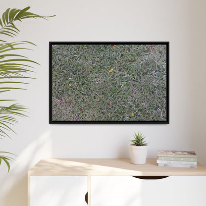 Grassy Texture - Unique Stretched Canvas Wall Art - Art By Earth