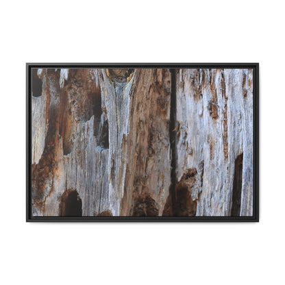 Decaying Splendor - Unique Stretched Canvas Wall Art - Art By Earth