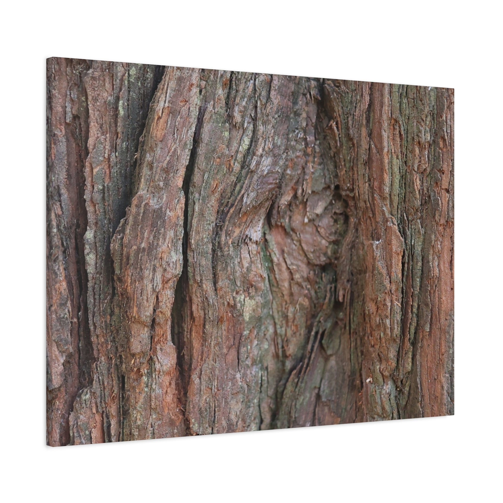 Rustic Embrace - Unique Frameless Canvas Wall Art - Art By Earth