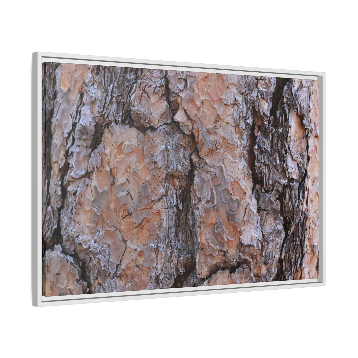 Tree Skin Symphony - Unique Stretched Canvas Wall Art - Art By Earth