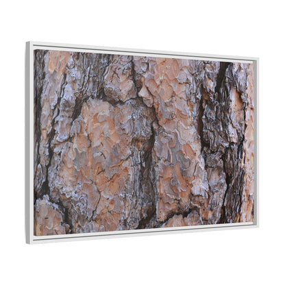 Tree Skin Symphony - Unique Stretched Canvas Wall Art - Art By Earth