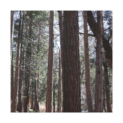 Vertical Sentinels - Unique Frameless Canvas Wall Art - Art By Earth