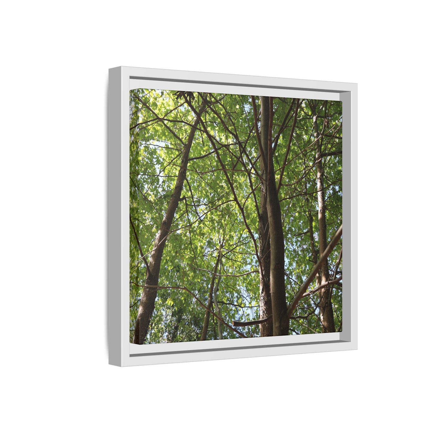 Forest Branches - Unique Stretched Canvas Wall Art