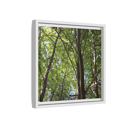 Forest Branches - Unique Stretched Canvas Wall Art