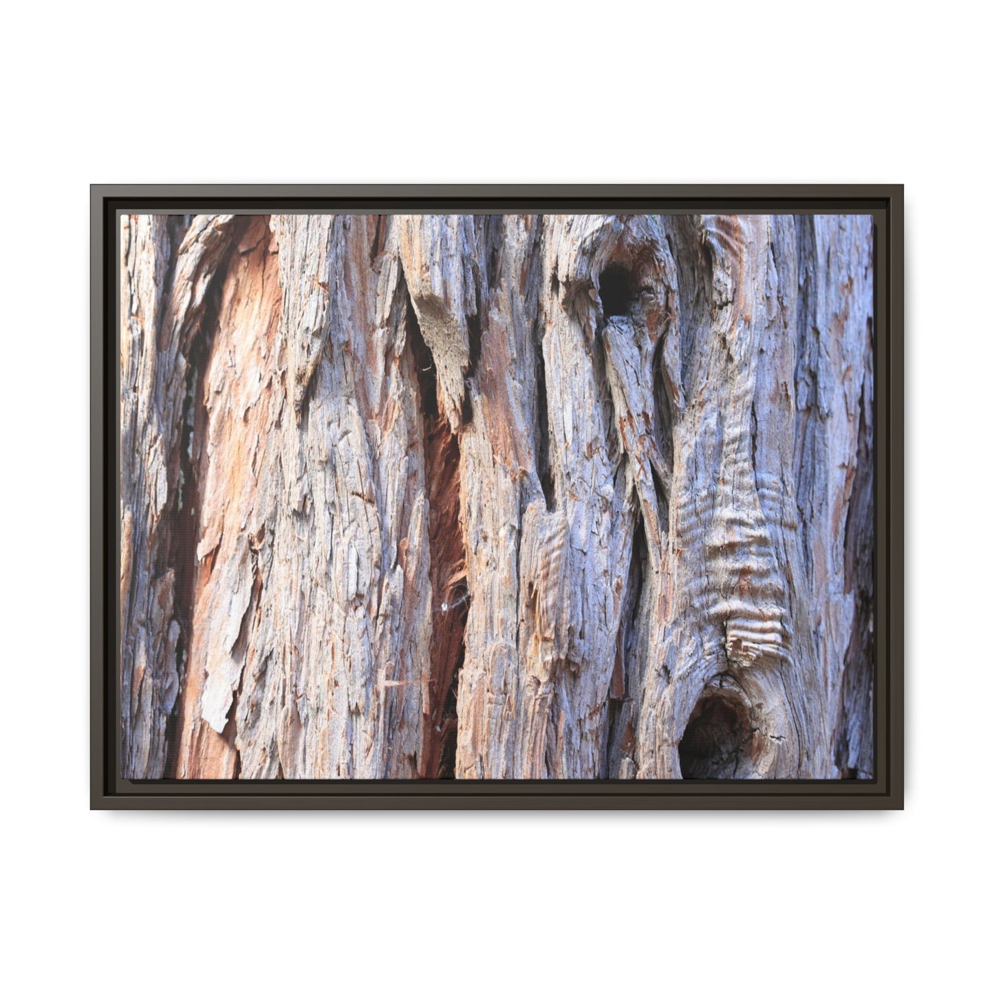 Nature's Grain - Unique Stretched Canvas Wall Art - Art By Earth