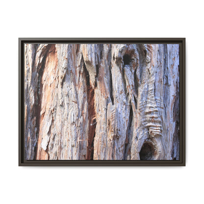 Nature's Grain - Unique Stretched Canvas Wall Art - Art By Earth