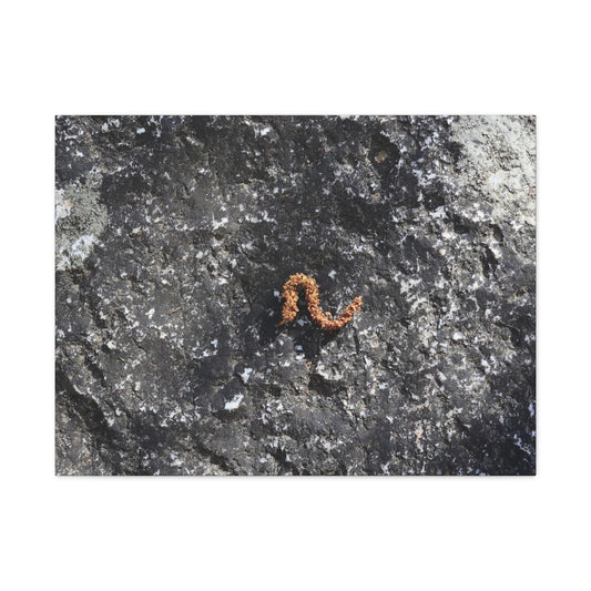 Earthen Serpent - Unique Frameless Canvas Wall Art - Art By Earth