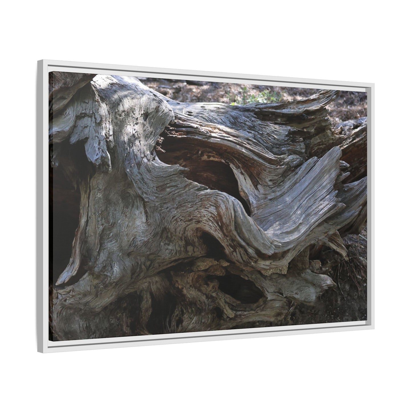 Twisted Memories - Unique Stretched Canvas Wall Art - Art By Earth
