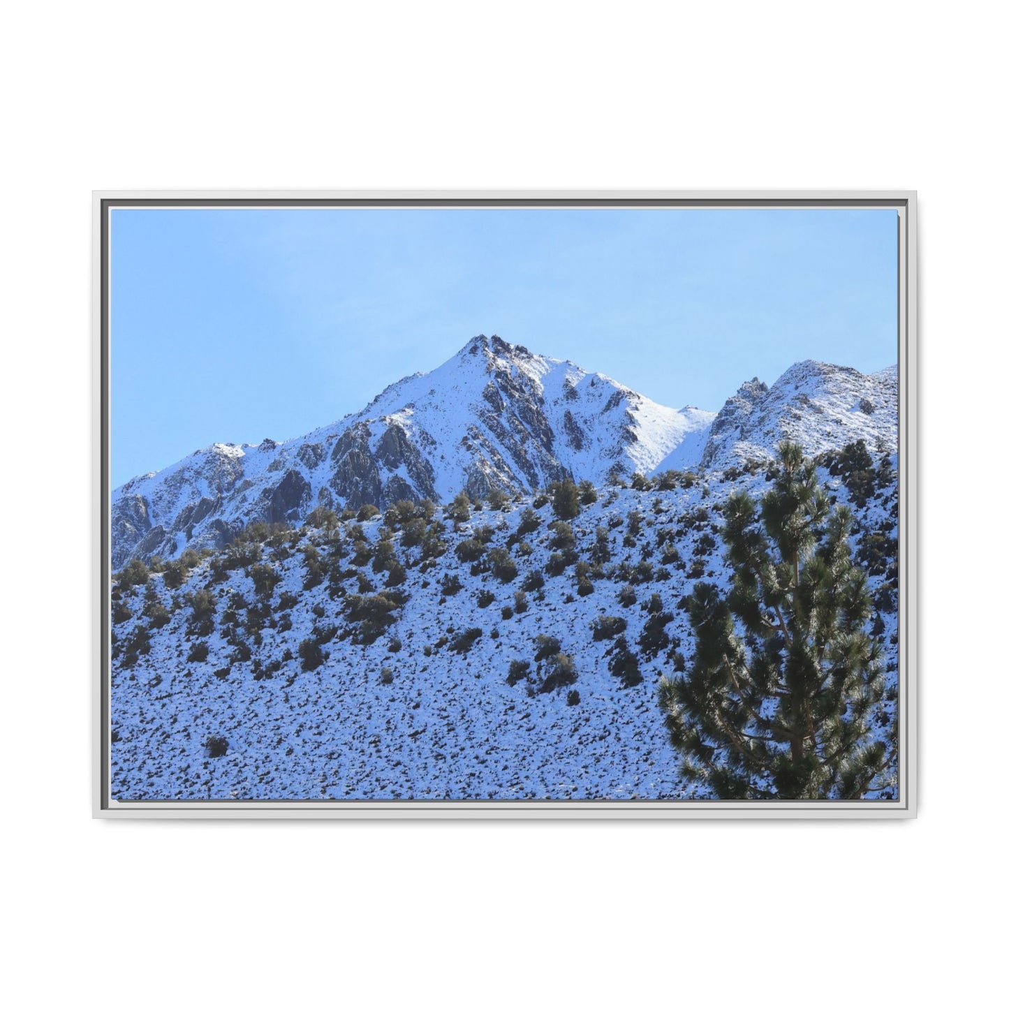 Snow's Embrace - Unique Stretched Canvas Wall Art