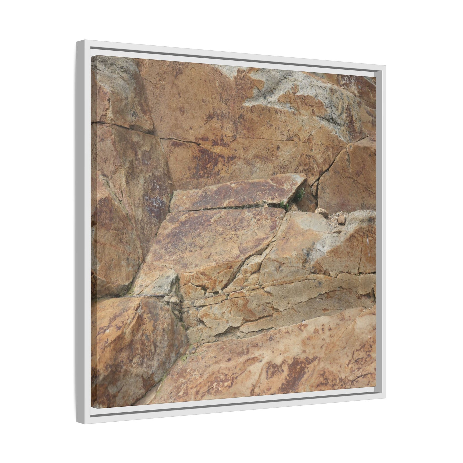 Ancient Foundations - Unique Stretched Canvas Wall Art - Art By Earth