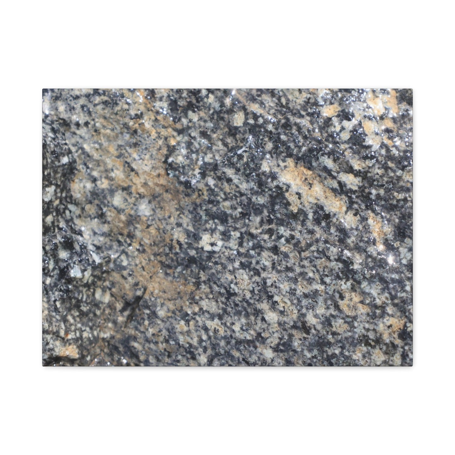 Metamorphic Memory - Unique Frameless Canvas Wall Art - Art By Earth