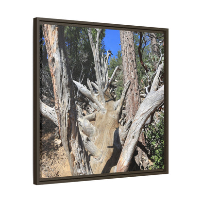 Forest Sentinels - Unique Stretched Canvas Wall Art