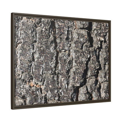 Bark Study in Gray - Unique Stretched Canvas Wall Art - Art By Earth