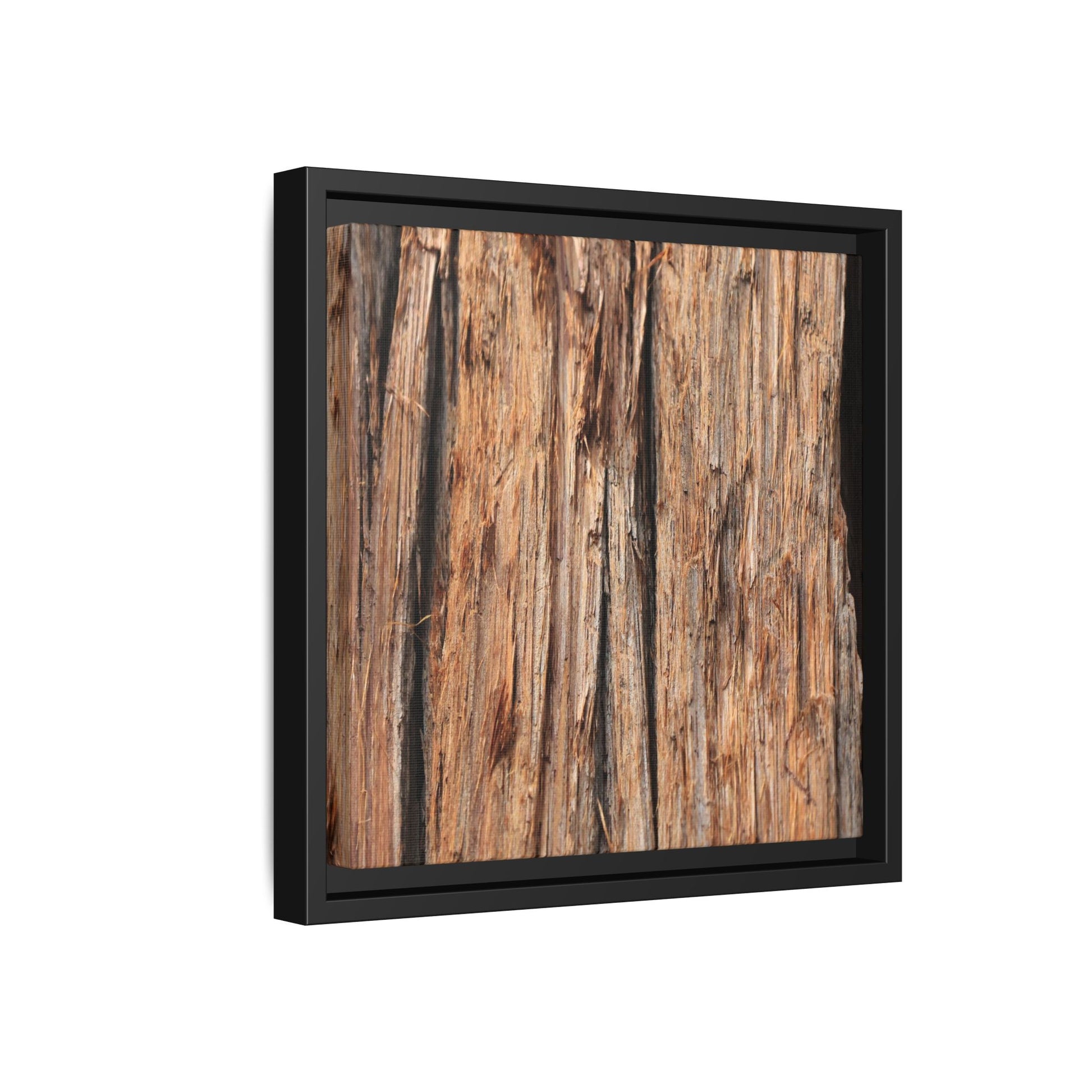 Timber Echoes - Unique Stretched Canvas Wall Art - Art By Earth