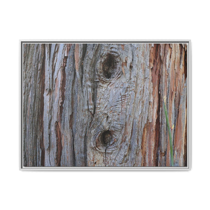 Knotty Nature - Unique Stretched Canvas Wall Art - Art By Earth