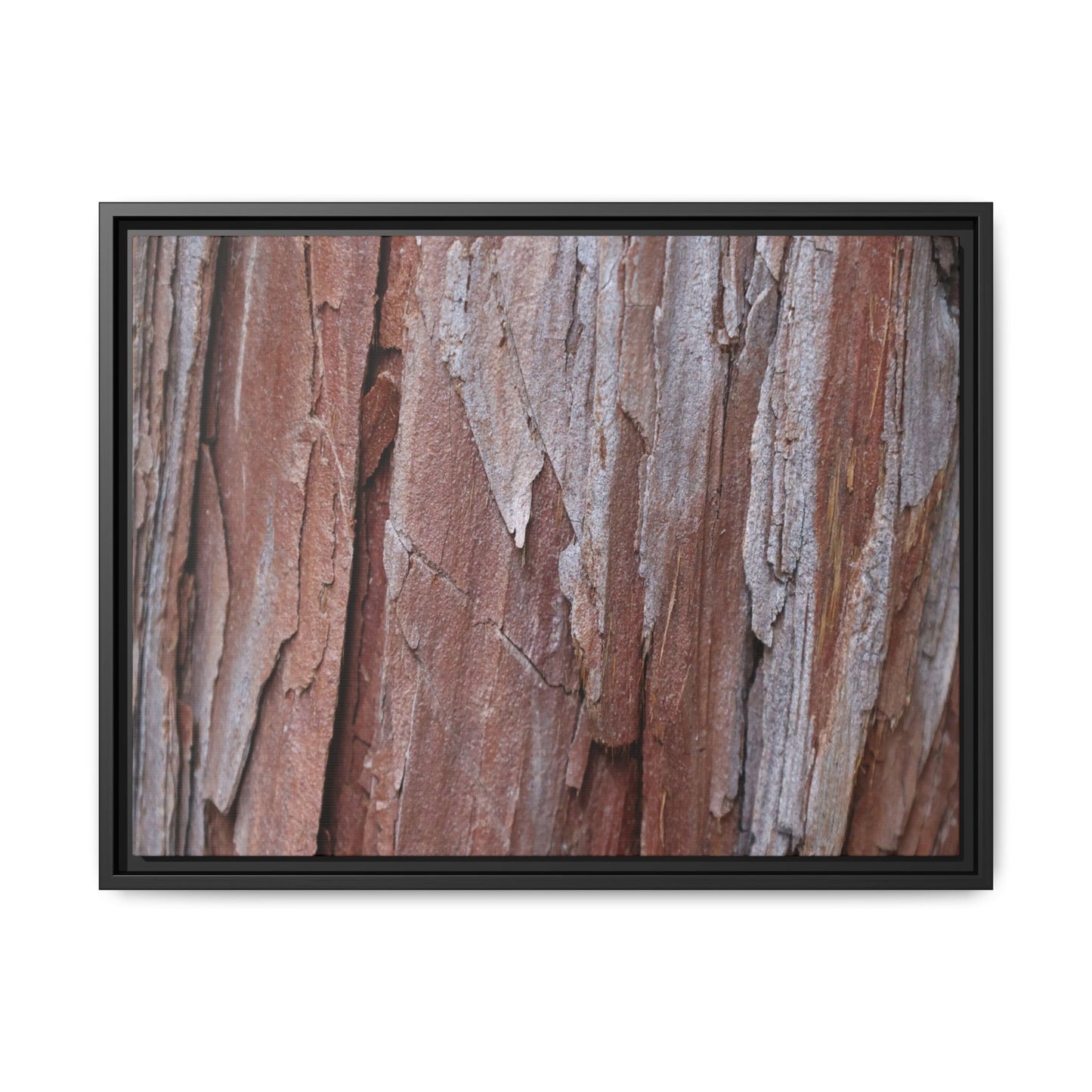 Time and Decay - Unique Stretched Canvas Wall Art - Art By Earth