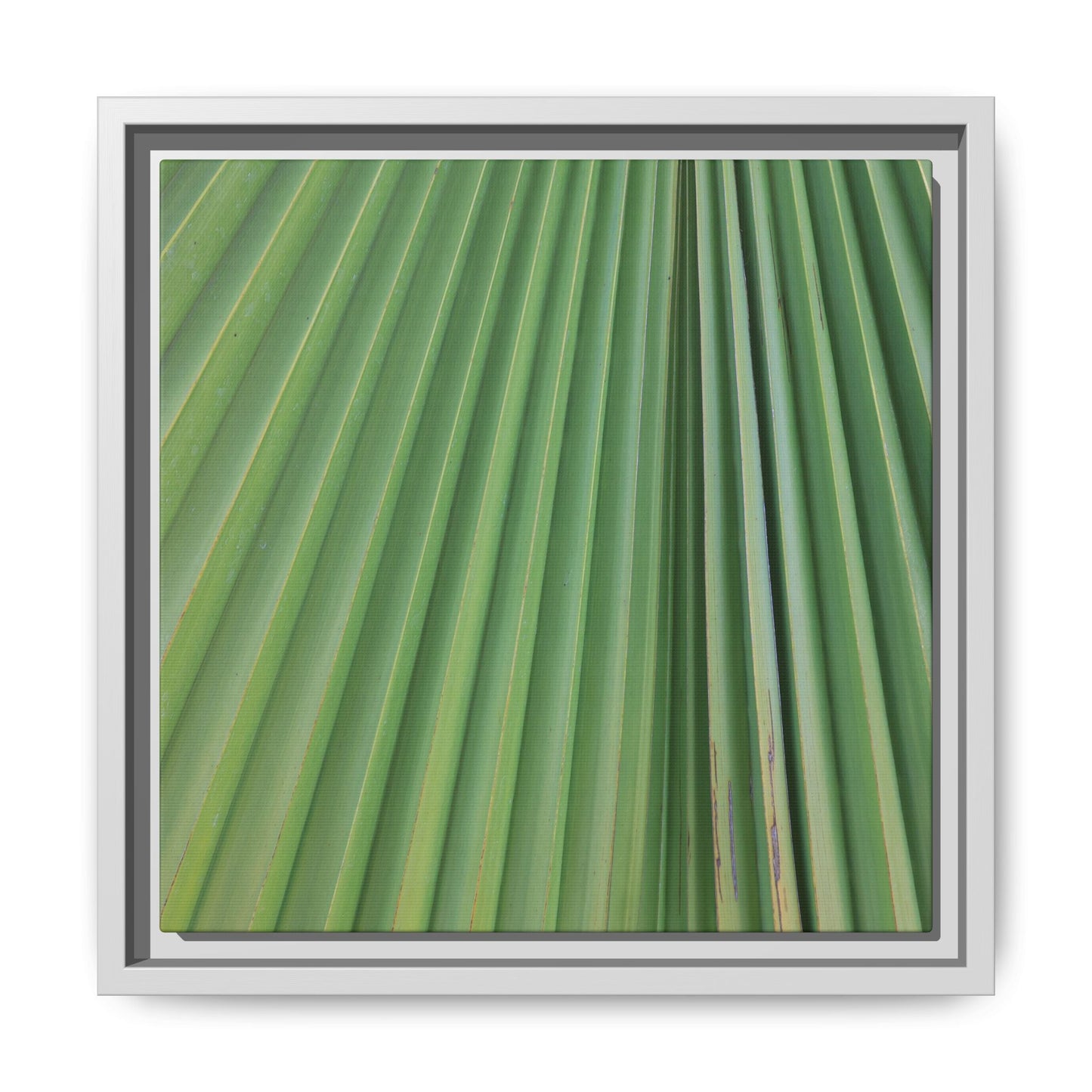 Emerald Rays - Unique Stretched Canvas Wall Art - Art By Earth