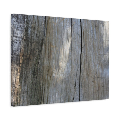 Time's Carved Patterns - Unique Frameless Canvas Wall Art